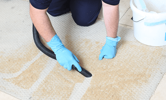 finding_an_experienced_carpet_cleaning_company